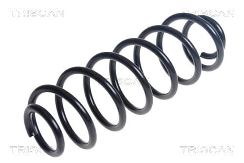 Spiralfjäder bak från TRISCAN