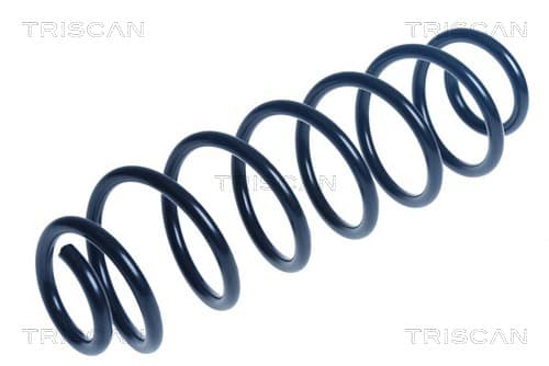 Spiralfjäder bak från TRISCAN