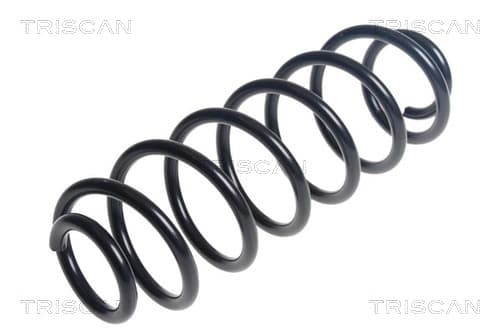 Spiralfjäder bak från TRISCAN