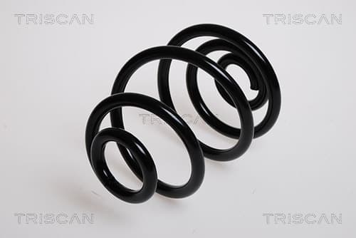 Spiralfjäder bak från TRISCAN