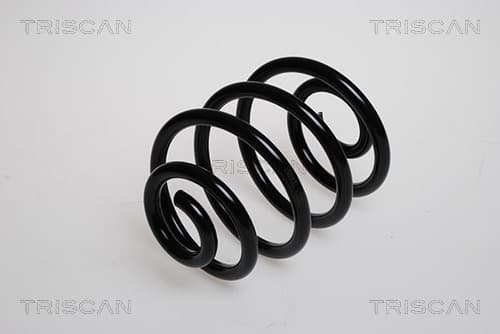 Spiralfjäder bak — Bakaxel från TRISCAN