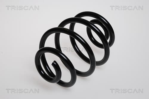 Spiralfjäder bak från TRISCAN