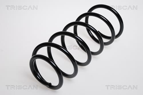 Spiralfjäder fram från TRISCAN