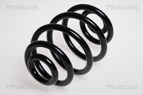 Spiralfjäder bak från TRISCAN