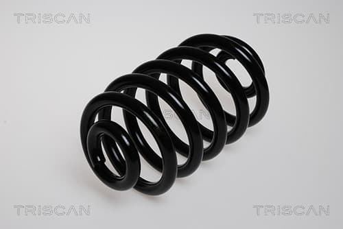 Spiralfjäder bak från TRISCAN