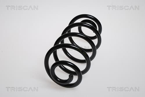 Spiralfjäder bak från TRISCAN