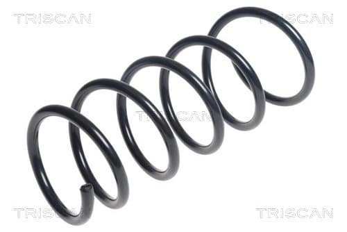 Spiralfjäder bak från TRISCAN