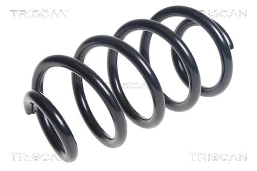 Spiralfjäder bak från TRISCAN