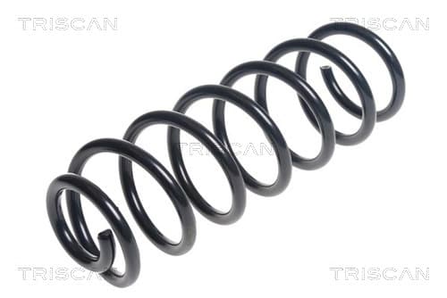 Spiralfjäder bak från TRISCAN