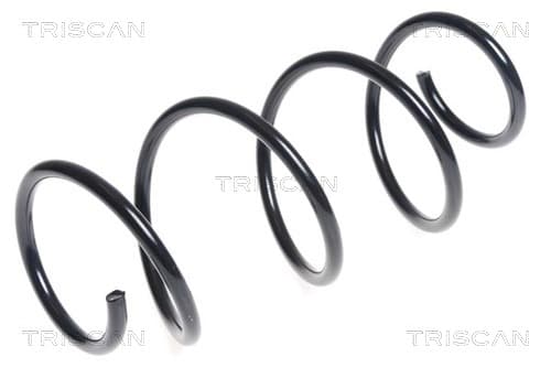 Spiralfjäder fram från TRISCAN