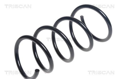 Spiralfjäder fram från TRISCAN