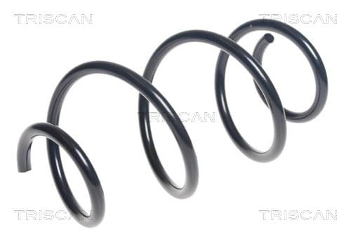 Spiralfjäder fram från TRISCAN