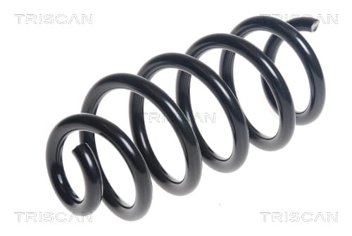 Spiralfjäder bak från TRISCAN
