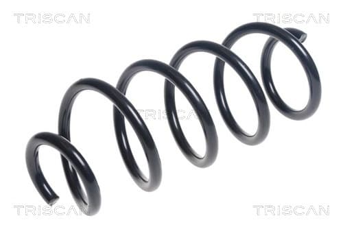 Spiralfjäder bak från TRISCAN