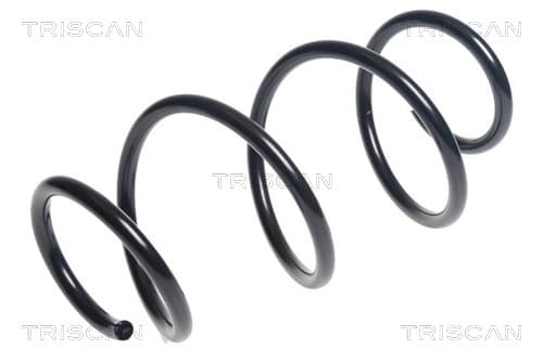 Spiralfjäder fram från TRISCAN