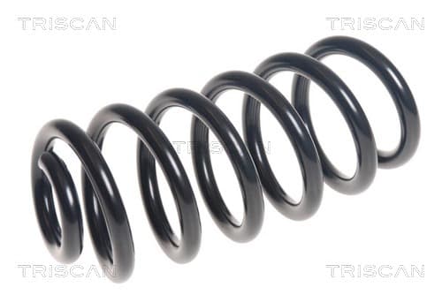 Spiralfjäder bak från TRISCAN