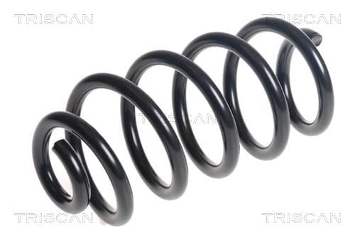 Spiralfjäder bak från TRISCAN