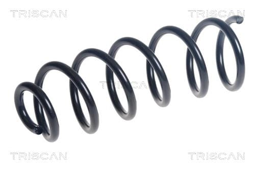 Spiralfjäder bak från TRISCAN