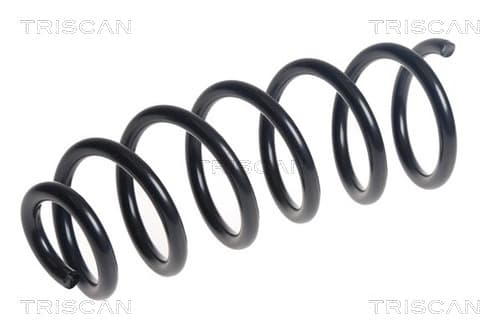 Spiralfjäder bak från TRISCAN
