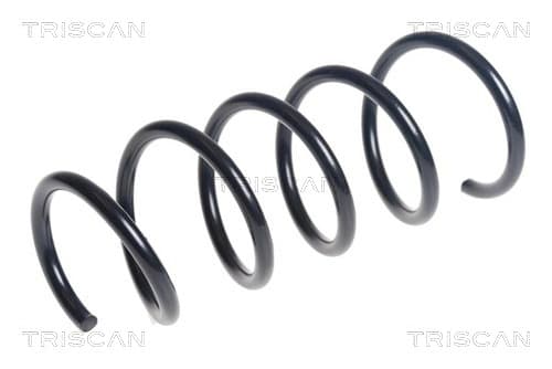 Spiralfjäder fram från TRISCAN