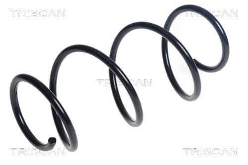 Spiralfjäder fram från TRISCAN