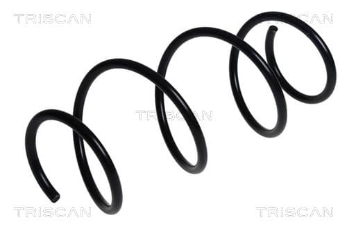 Spiralfjäder fram från TRISCAN