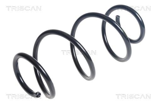 Spiralfjäder bak från TRISCAN