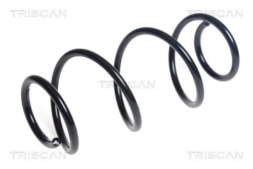 Spiralfjäder bak från TRISCAN
