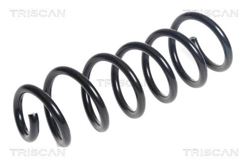 Spiralfjäder bak från TRISCAN