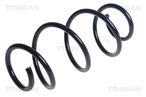 Spiralfjäder bak från TRISCAN