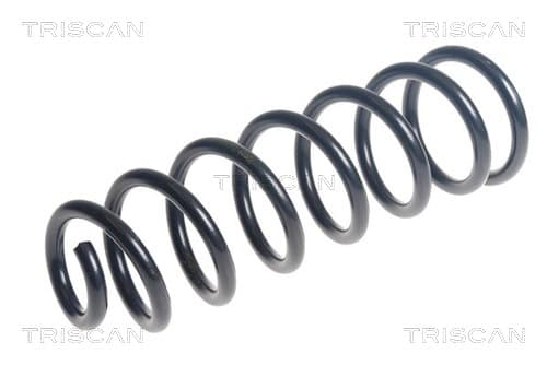 Spiralfjäder bak från TRISCAN
