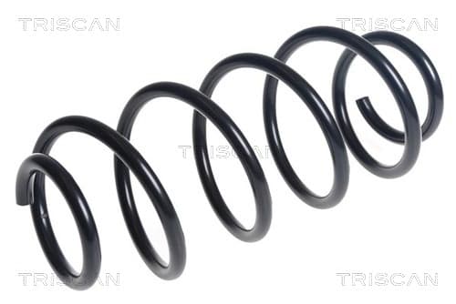 Spiralfjäder bak från TRISCAN
