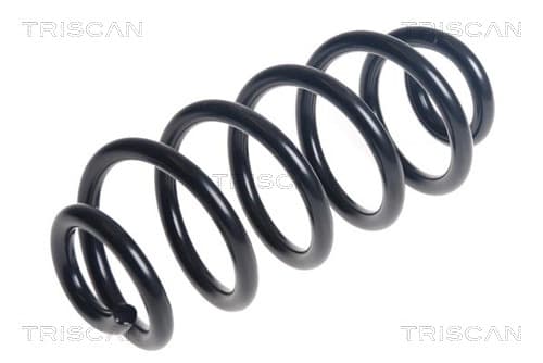 Spiralfjäder bak från TRISCAN