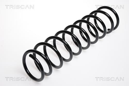 Spiralfjäder bak från TRISCAN