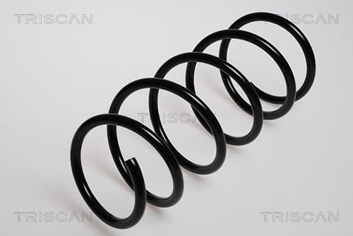 Spiralfjäder fram från TRISCAN