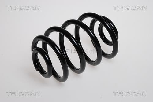 Spiralfjäder bak från TRISCAN