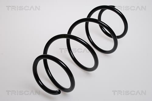 Spiralfjäder fram från TRISCAN