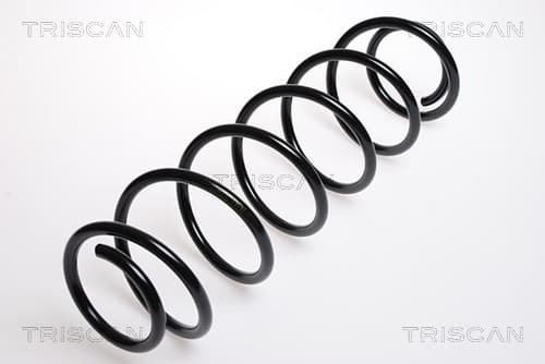 Spiralfjäder bak från TRISCAN