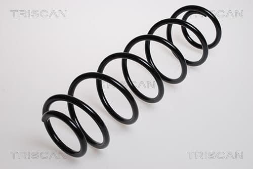 Spiralfjäder bak från TRISCAN