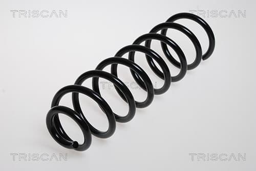Spiralfjäder bak från TRISCAN