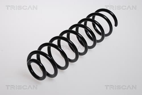 Spiralfjäder bak från TRISCAN