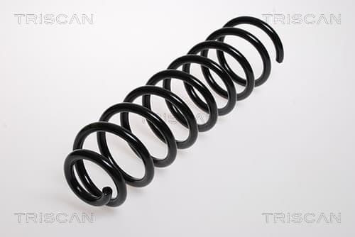 Spiralfjäder bak från TRISCAN