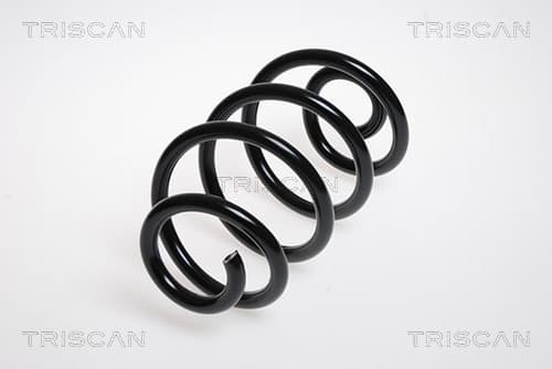 Spiralfjäder bak från TRISCAN