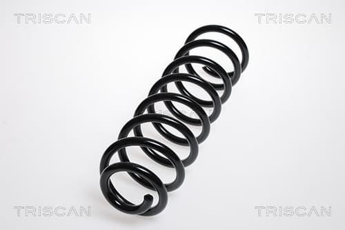Spiralfjäder bak från TRISCAN