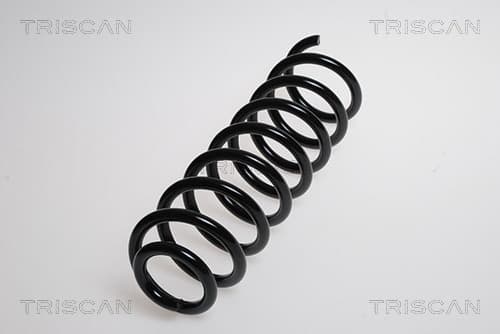 Spiralfjäder bak från TRISCAN
