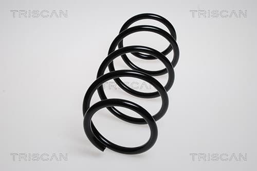 Spiralfjäder fram från TRISCAN