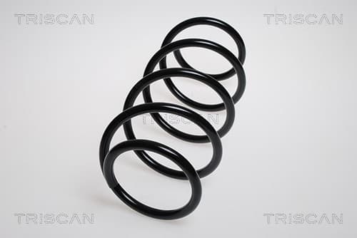 Spiralfjäder fram från TRISCAN