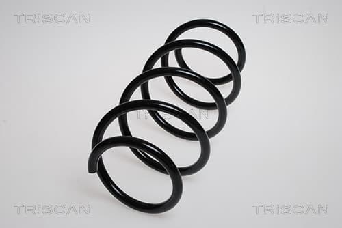 Spiralfjäder fram från TRISCAN