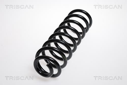 Spiralfjäder bak från TRISCAN