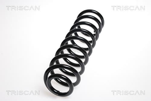 Spiralfjäder bak från TRISCAN